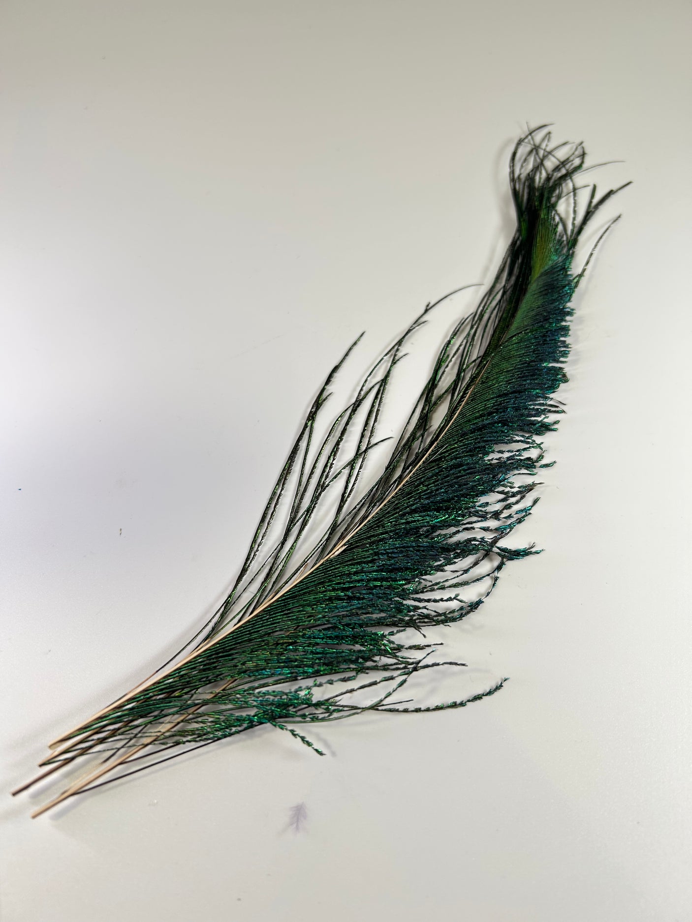 Peacock Swords