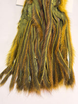 Pine Squirrel Skin - Zonked