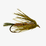 Carey Special