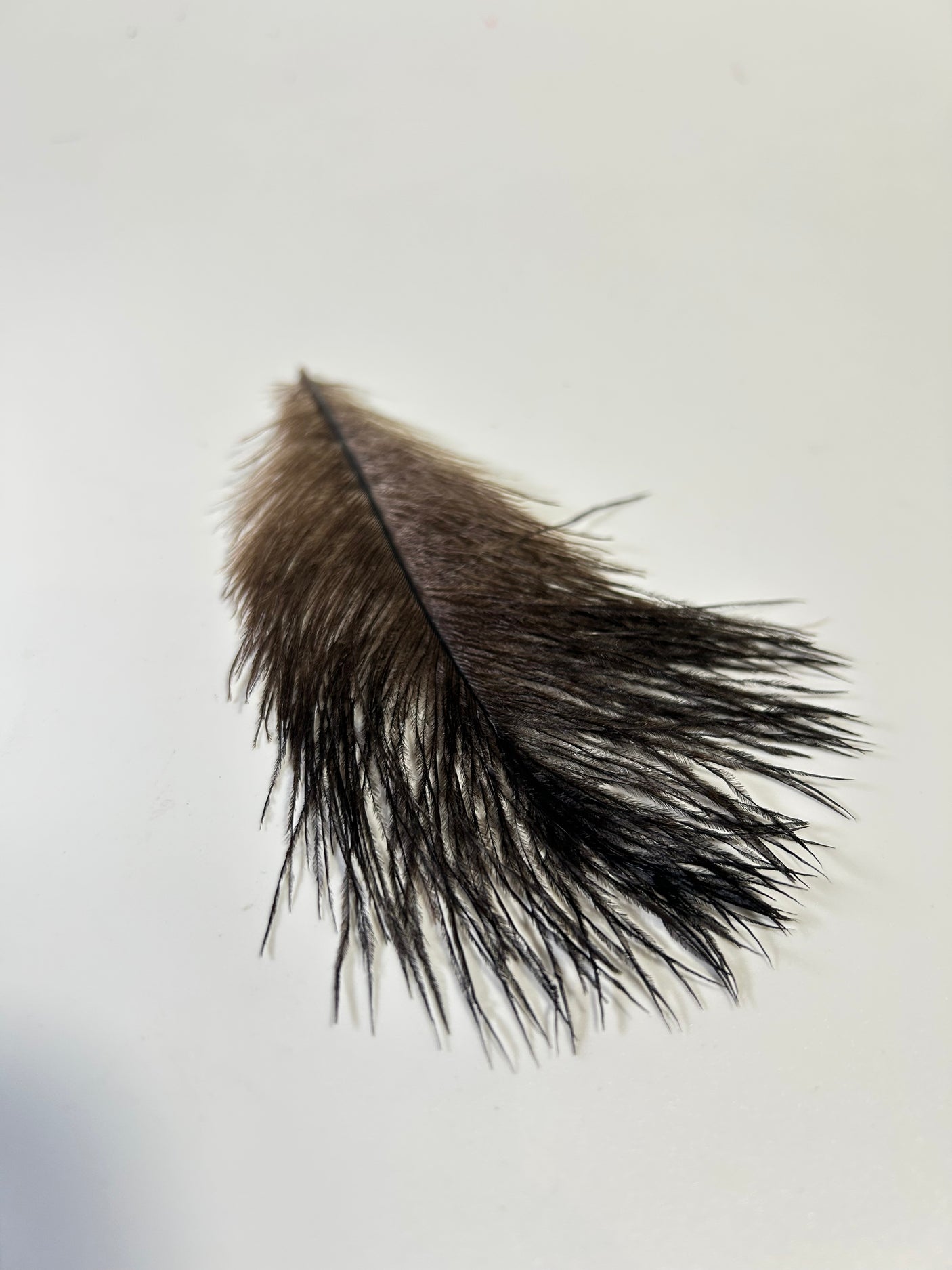 Ostrich Body Feathers