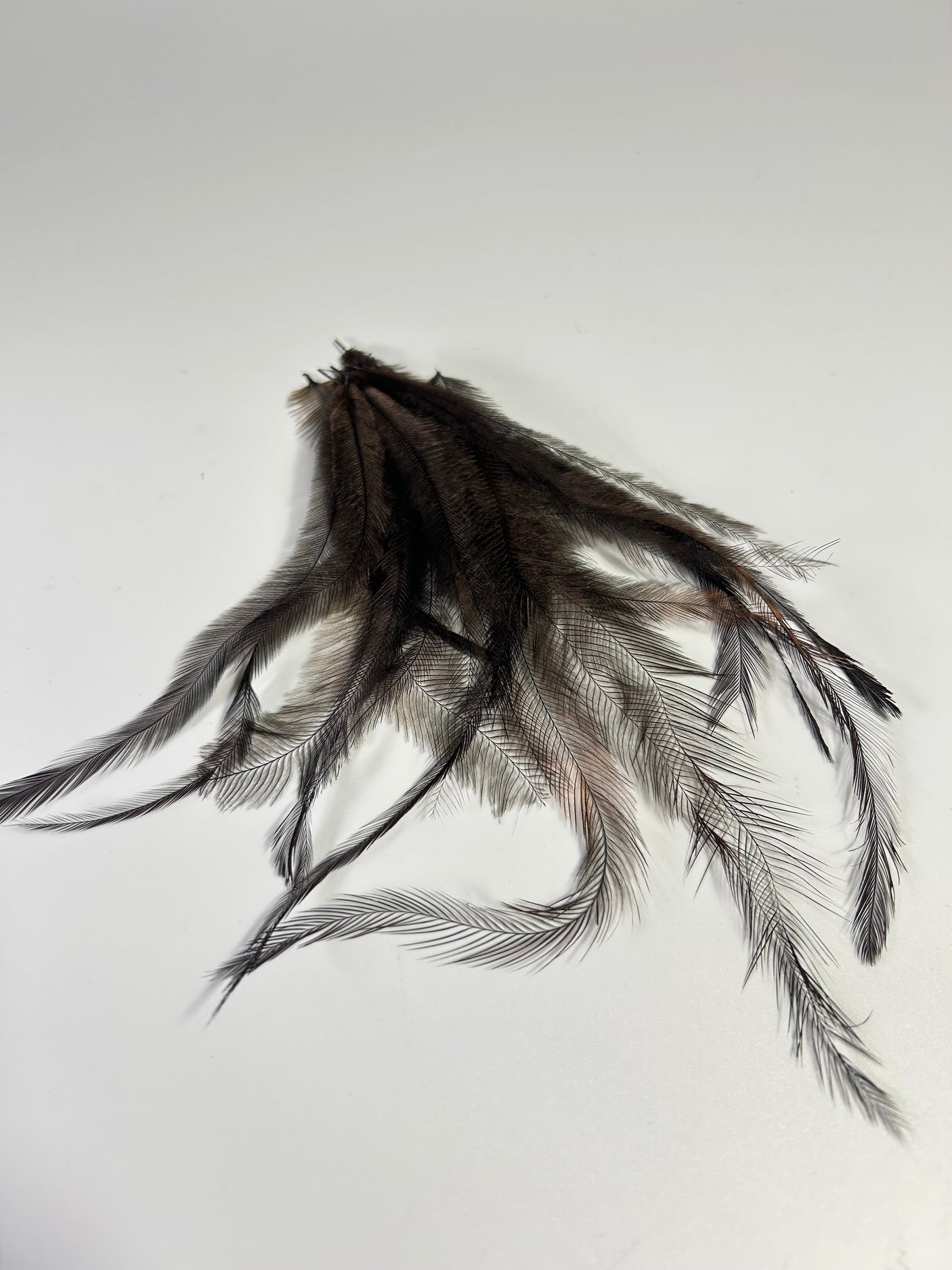 Emu Feathers