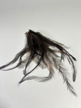 Emu Feathers