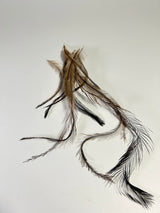 Emu Feathers
