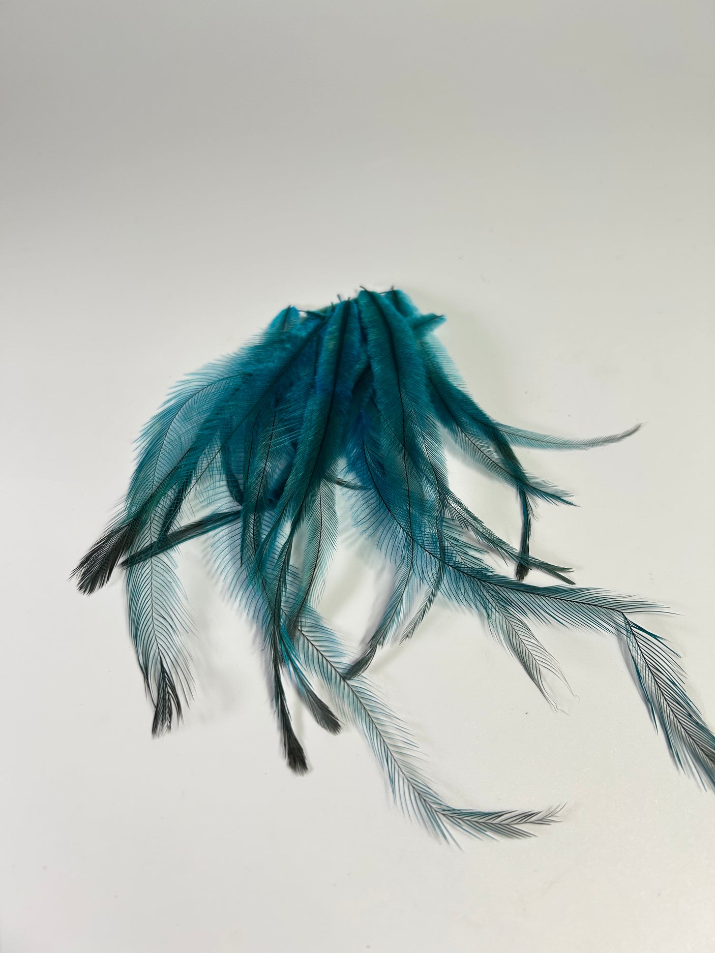 Emu Feathers