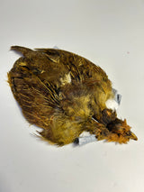 SFF Hungarian Partridge Skin