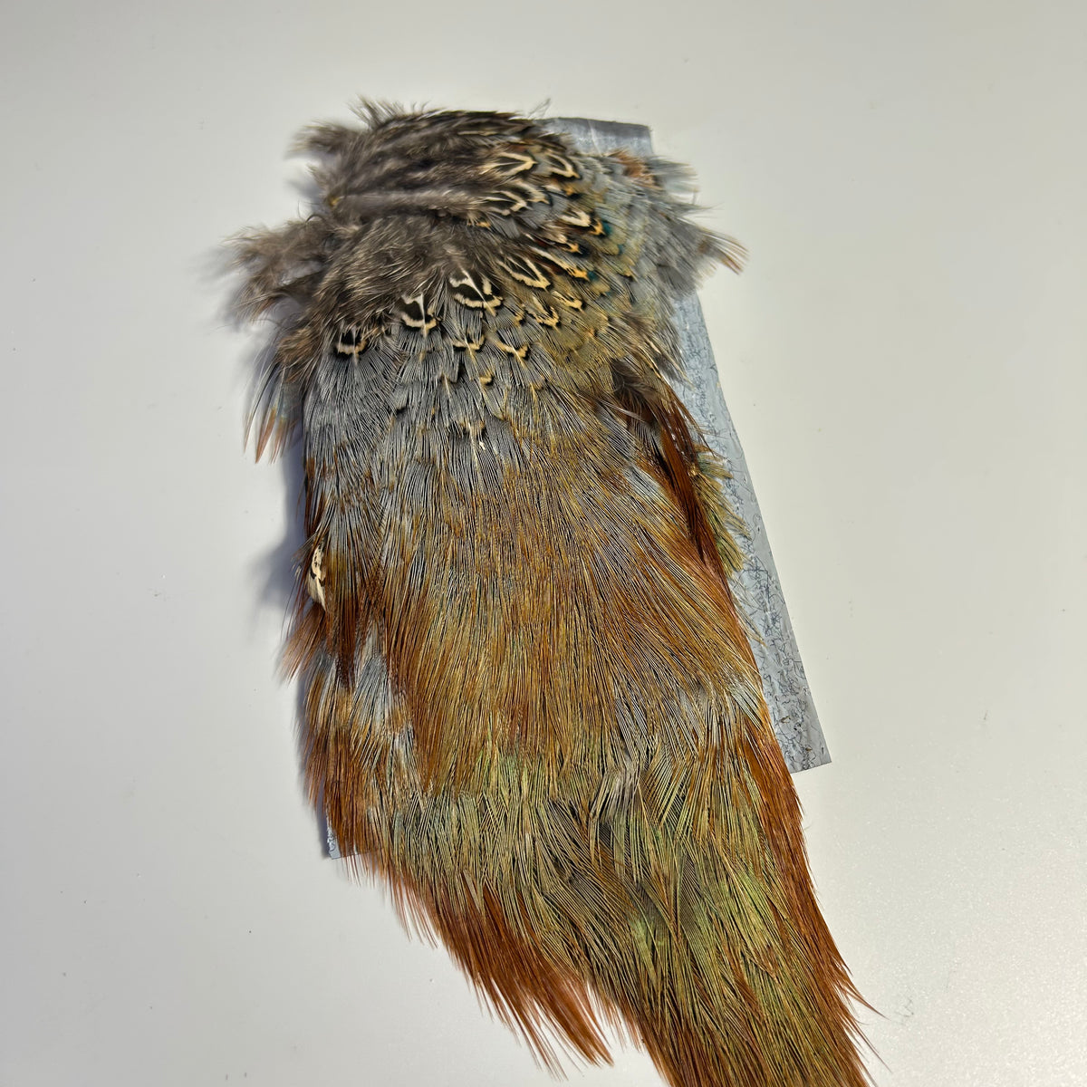 SFF Pheasant Rump Patch – Waters West Fly Fishing Outfitters