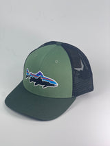 Patagonia Fitz Roy Trout Trucker