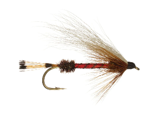 Bucktail Royal Coachman