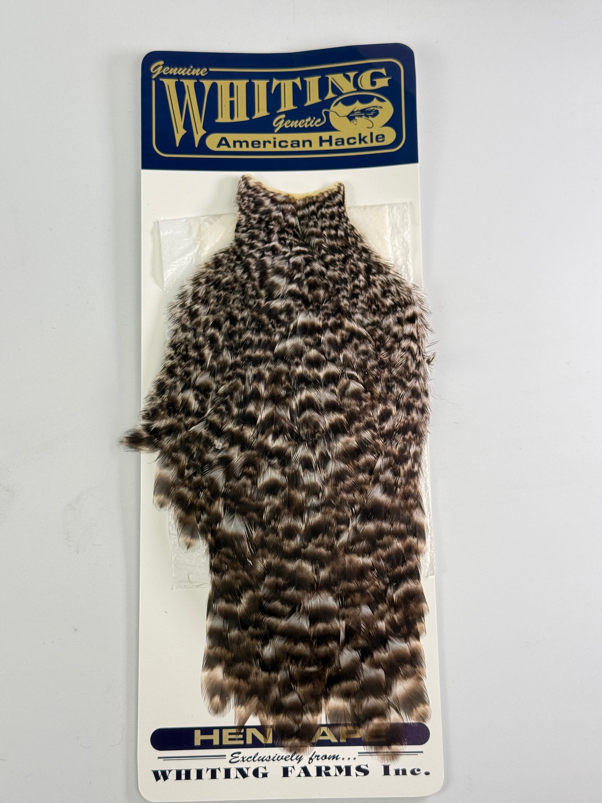 Whiting American Hackle Hen Cape - Grizzly at Waters West Fly 