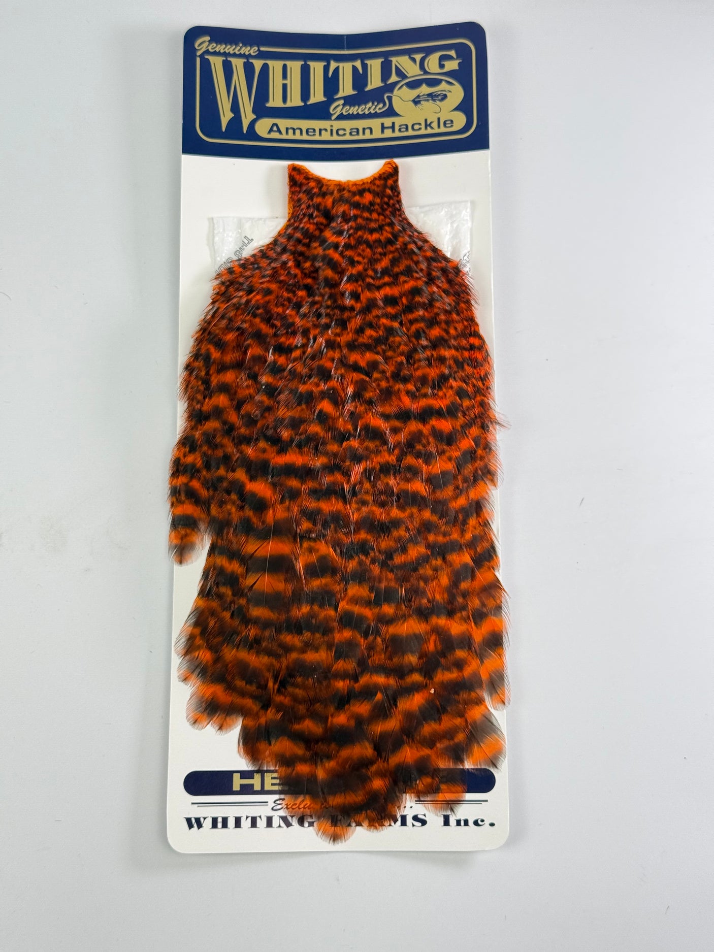 Whiting American Hackle Hen Cape - Grizzly