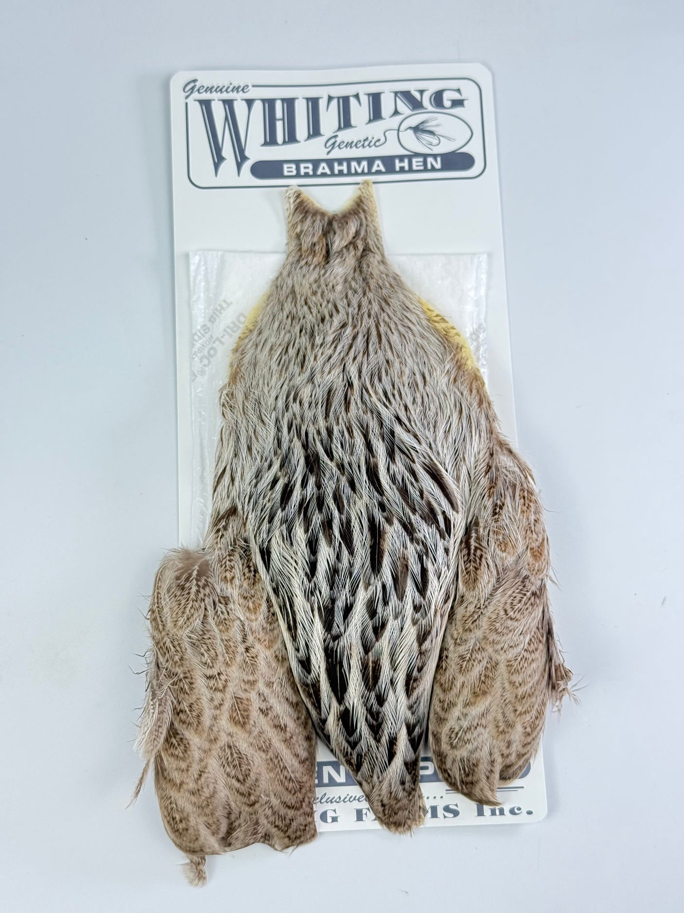 Whiting Brahma Hen Cape