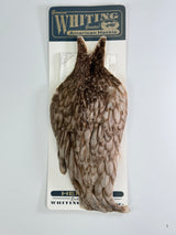 Whiting American Hen Cape Natural