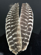 Extra Select Turkey Secondary Feathers (Pair)