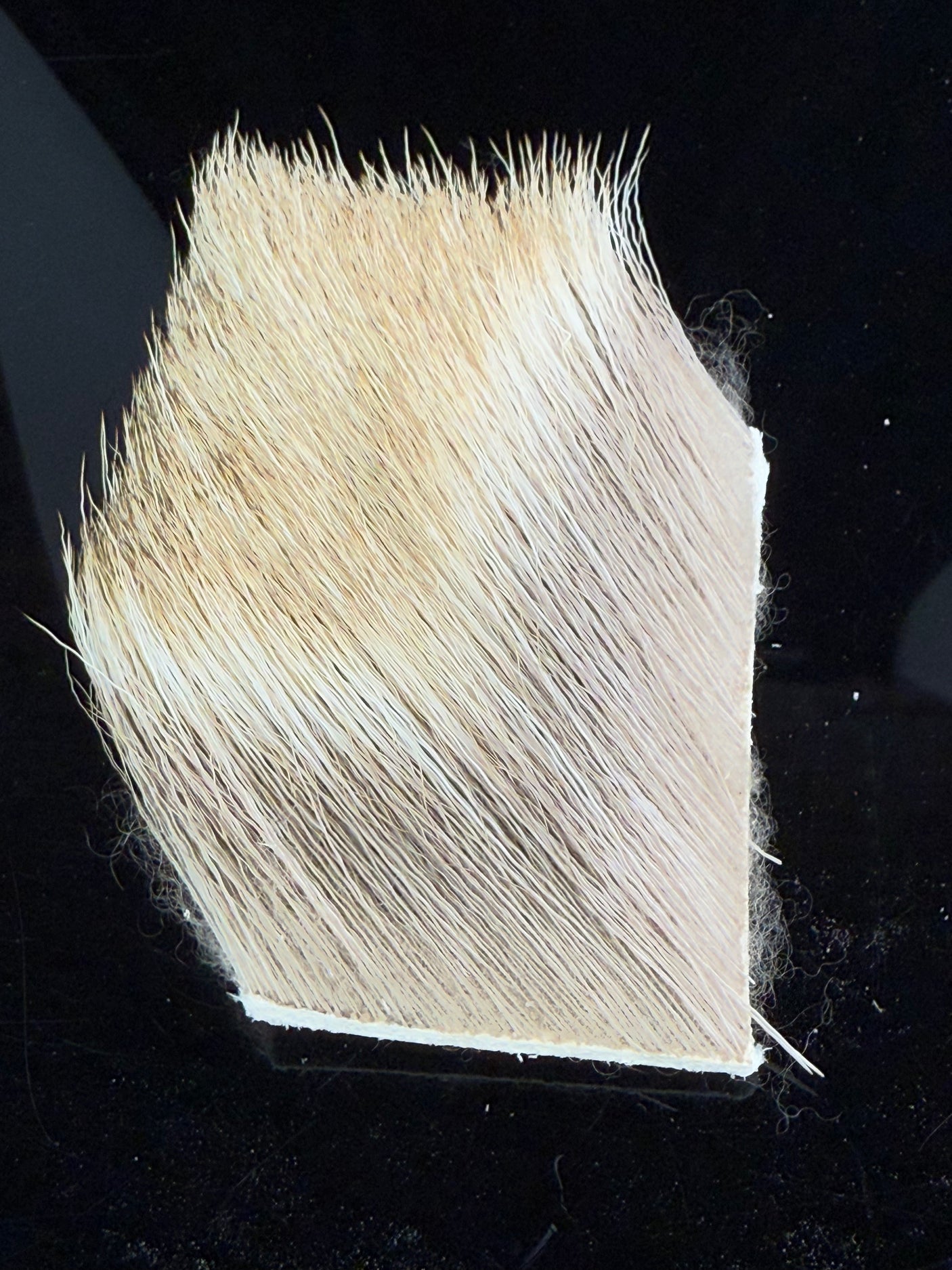 Primo Elk Hair 2"x3" strip"