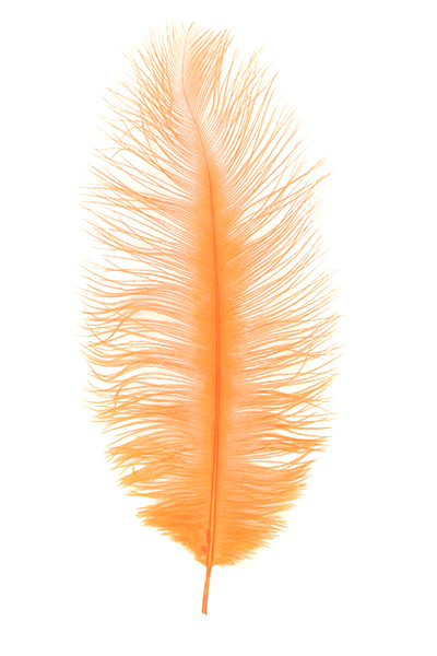 MFC Ostrich Plumes