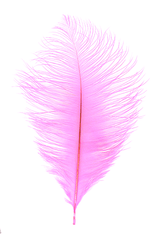 MFC Ostrich Plumes