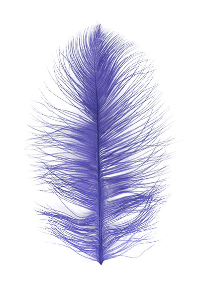 MFC Ostrich Plumes