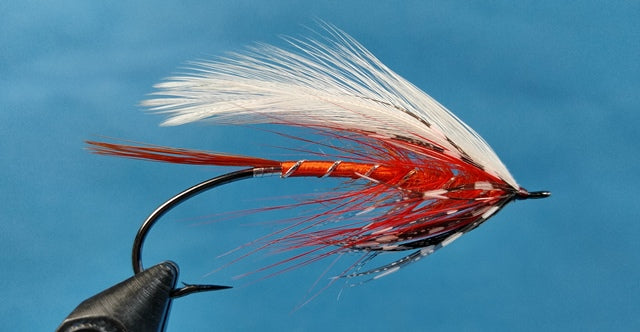 Polar Shrimp Spey - Dahlquist