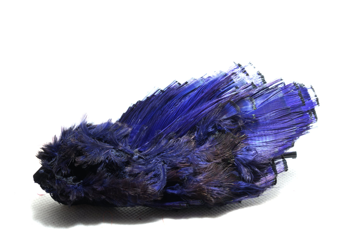 Golden Pheasant Complete Head