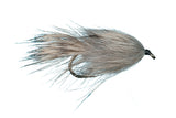Lake Leech