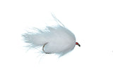 Lake Leech