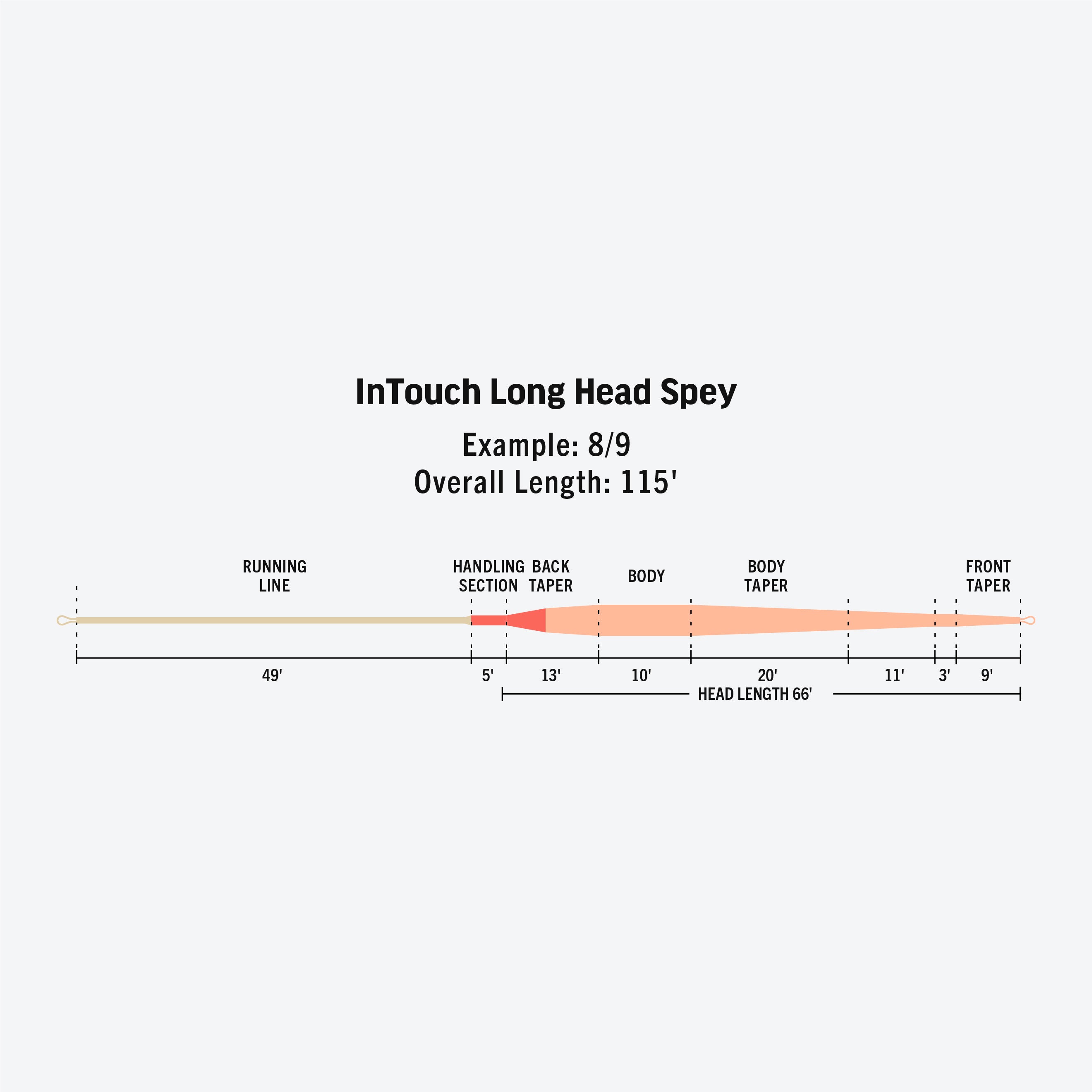 ルアー・フライ RIO InTouch Long Head Spey 9/10F 765gr Rio INTOUCH LONGHEAD SPEY 9/10F at Waters West Fly Fishing Outfitters.