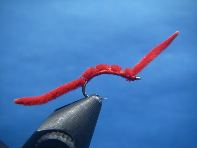 San Juan Worm - Red