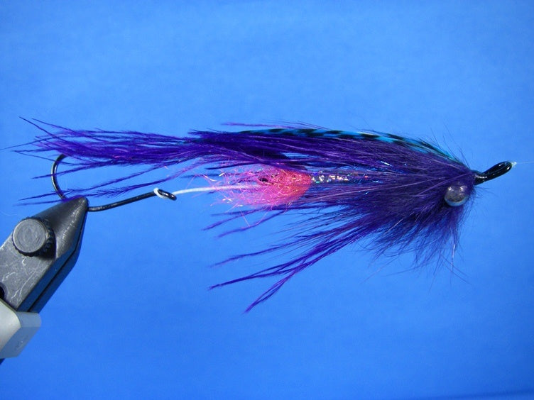 Signature Intruder - Purple