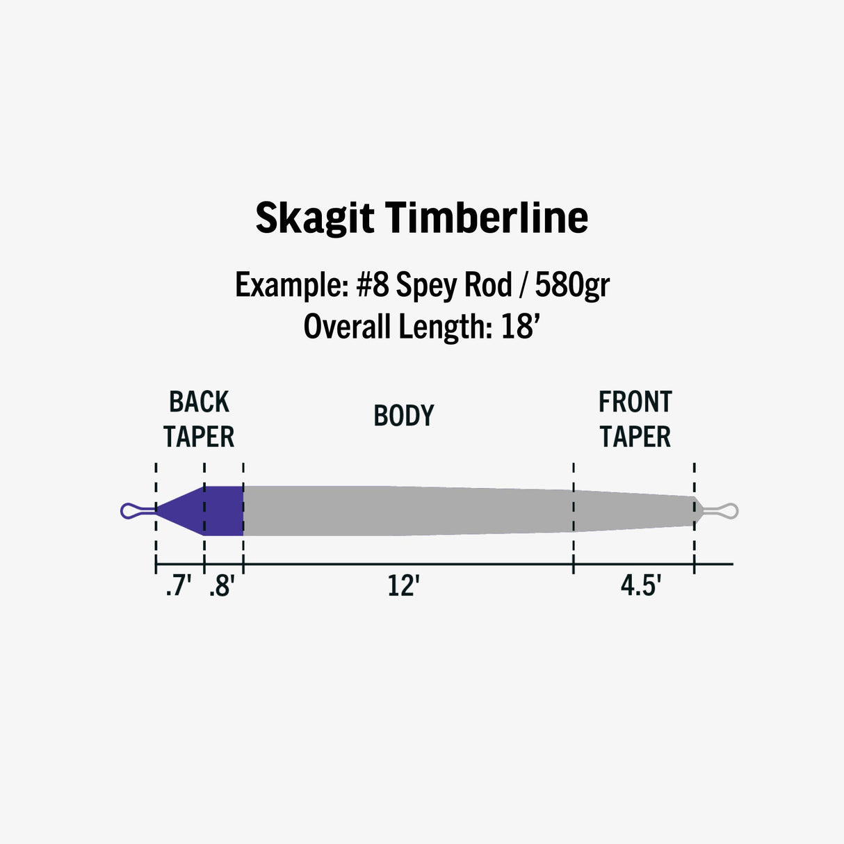 Rio Ambassador Series - Gray Struznik Skagit Timberline Shooting Head