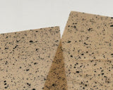 Web Wing