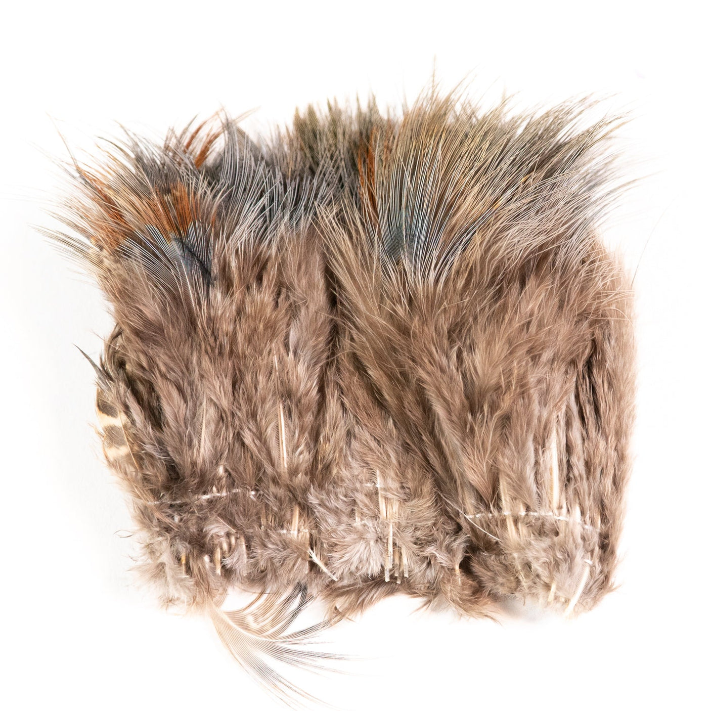 Strung Ringneck Rump Hackle