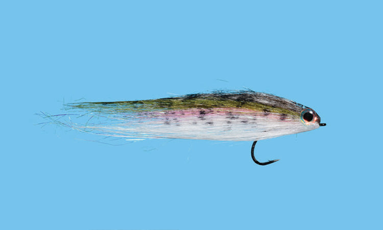 Baby Rainbow Trout – Waters West Fly Fishing Outfitters