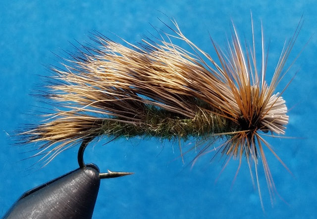 BC Tri Wing Sedge