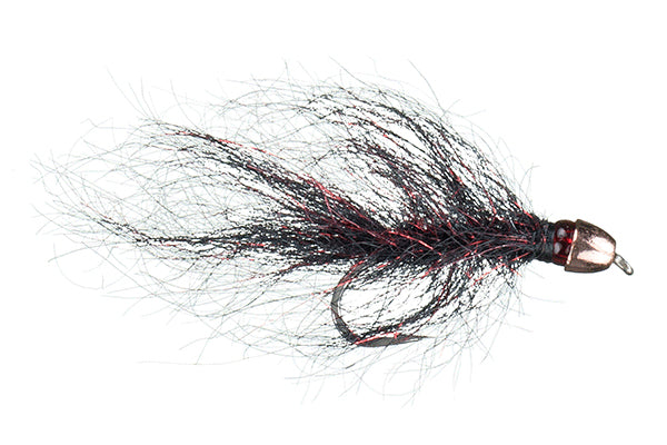 Chan's Ruby Eyed Leech