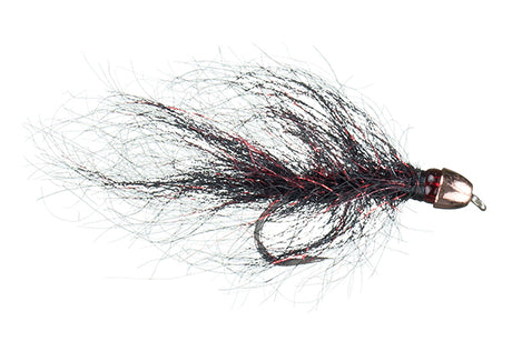 Chan's Ruby Eyed Leech