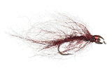 Chan's Ruby Eyed Leech