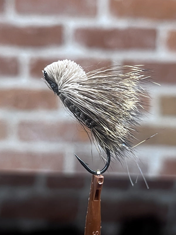 Laporte's Bulkley Pearl Mouse