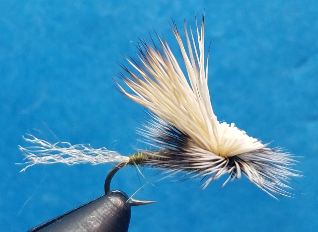 E.C. Caddis Olive