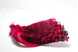 Golden Pheasant Complete Head