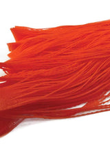 Nature's Spirit Disco Living Legs