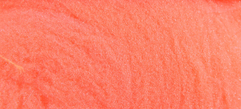 McFlyFoam