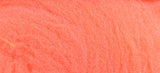 McFlyFoam