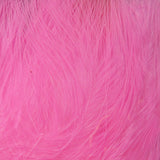 UV2 Marabou