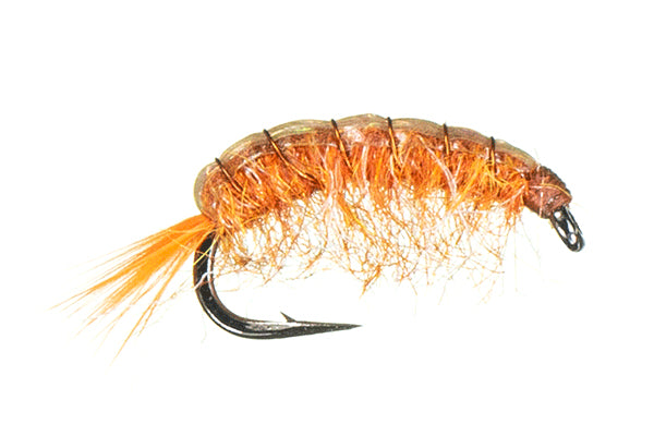Orange Scud