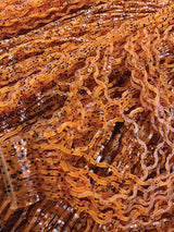 Nature's Spirit Disco Wavy Legs