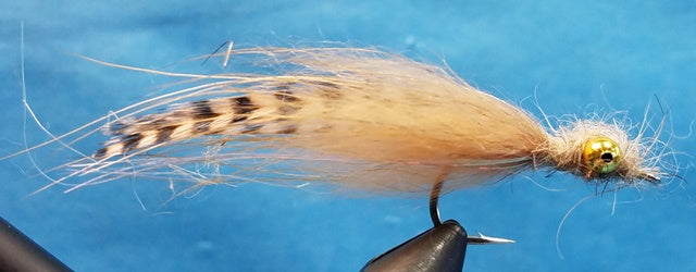 P-Ditty – Waters West Fly Fishing Outfitters