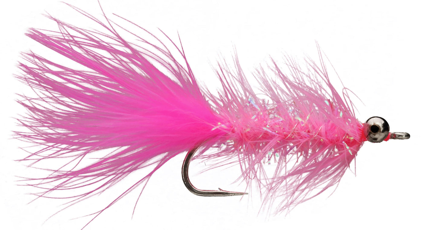PF Salmon