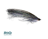Rio's PipeEel