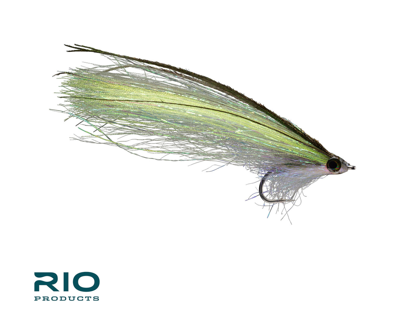 Rio's PipeEel