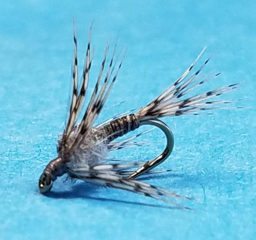 Callibaetis Soft Hackle